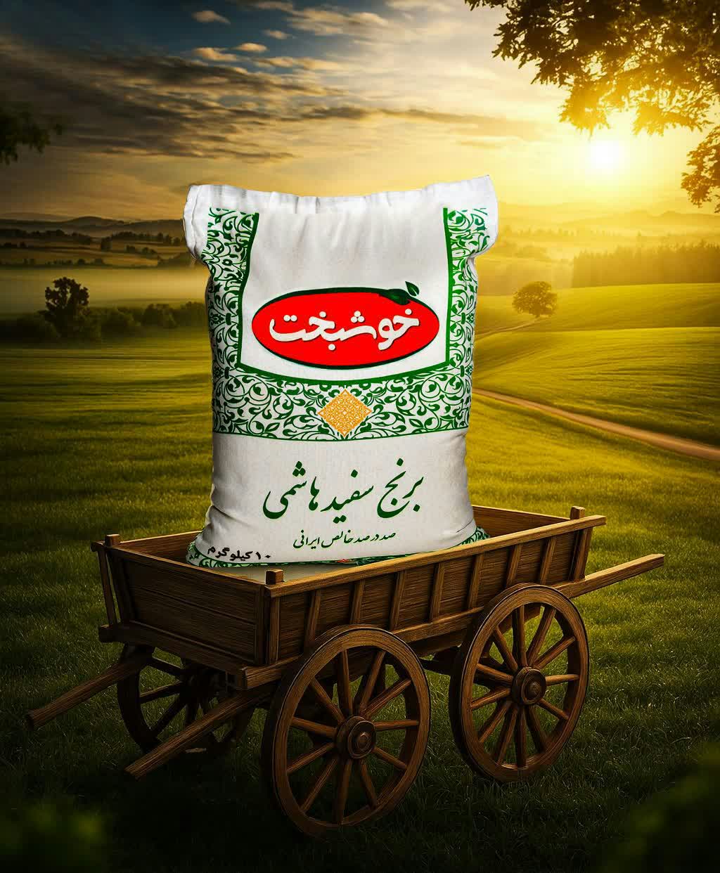 نمونه کار استودیو خلاق