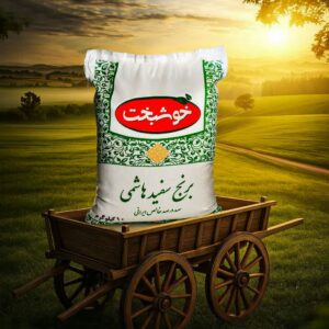 نمونه کار طراحی پوستر