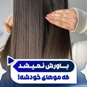 نمونه کار ساخت محتوا