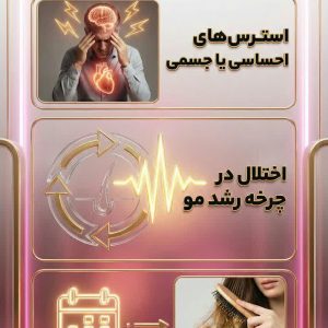 نمونه کار ساخت محتوا
