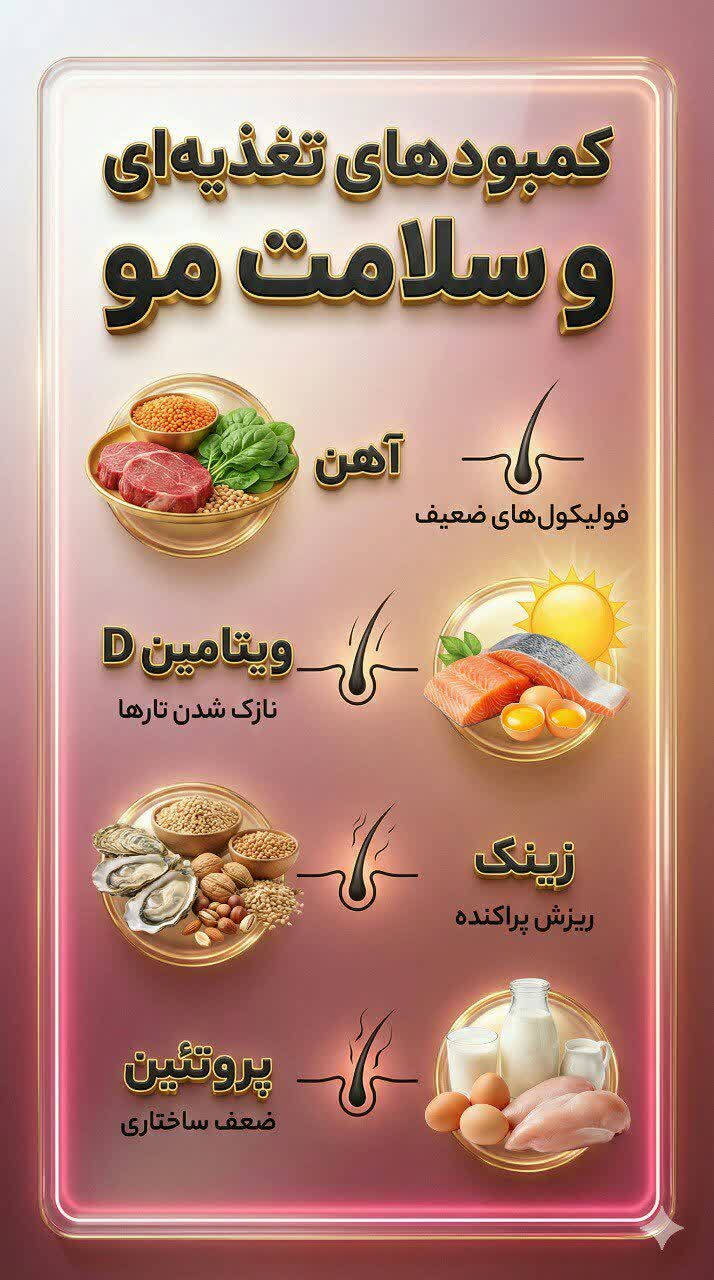 نمونه کار ساخت محتوا